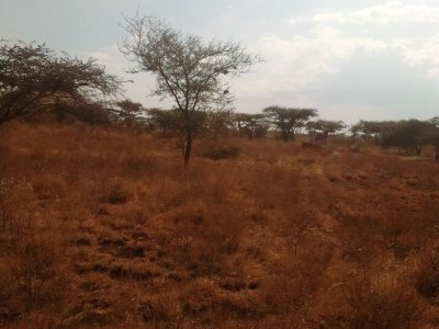 Help Covid-19 affected communities