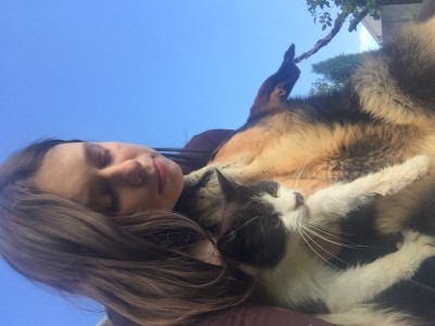 Fundraising for animals in danger
