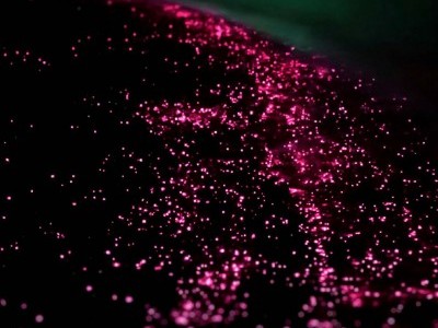 Help with opening of a nail salon