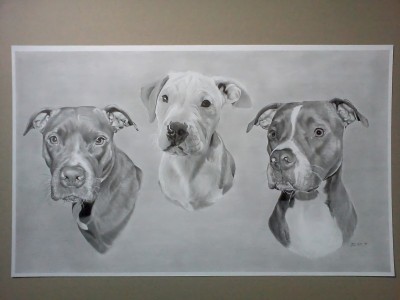 DOG ART EXHIBITION