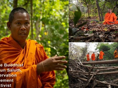 SAVE SANCTUARY FORESTRY