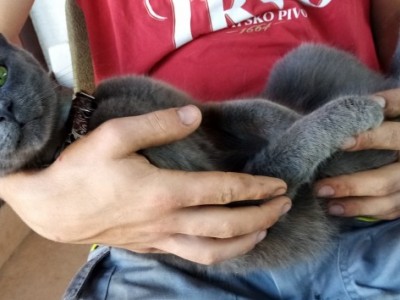 Paw my.
