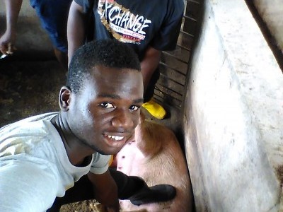I need sponsorship on my animal farm.