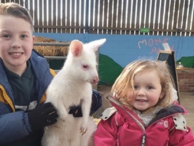 Help us to feed 253 animals and give shelter