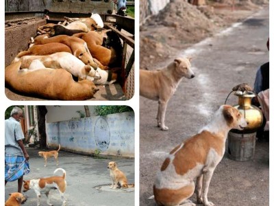 please help them