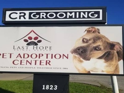 Adoption centre building repairs