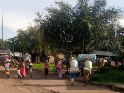 Insect rearing for food security/ D.R.Congo