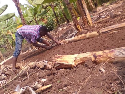 farming inputs