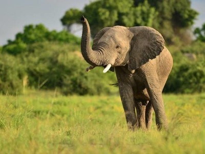Welcome Ruaha National park