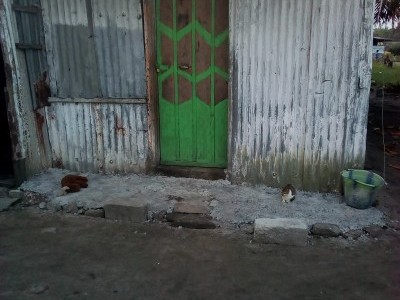 CHANGING LIVING CONDITION