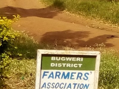 Helping farmers