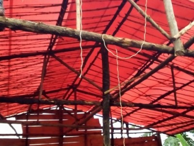 Youth poultry farm finishing