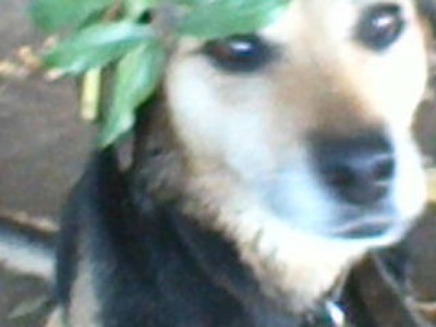 Help donation