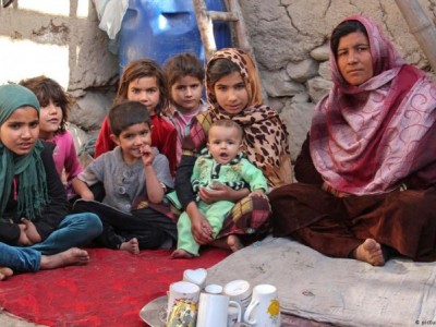 Help for my family's livelihood
