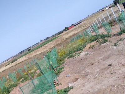 To make this little farm work again