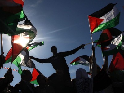 Medical support to Palestine