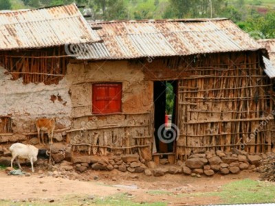 My housebuilding