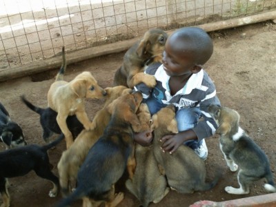 support abuse pets for a better life.