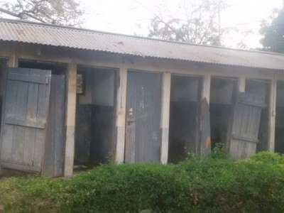 To Repair orphans Toilets