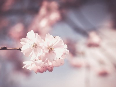 Help a home, remove poverty