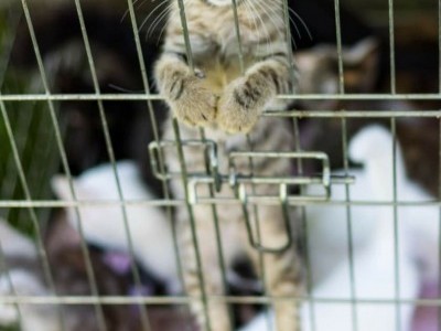 Help us to help them.