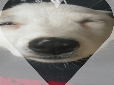 Help Pablo see Whole Again