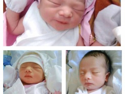 Seeking for help of Baby Pauleen