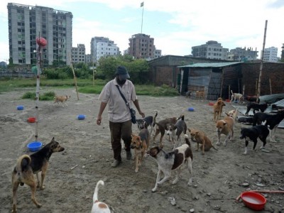 Pet Home