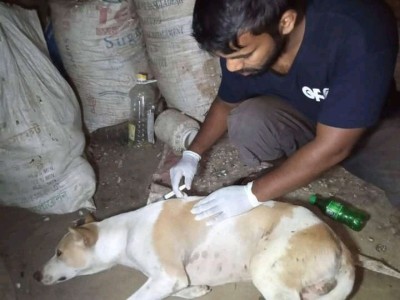 Love and help