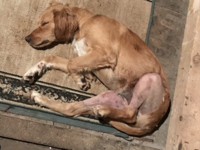Please help this little girl