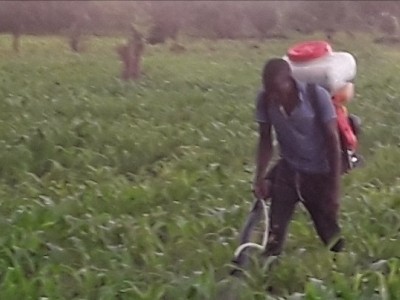 FIGHT UNEMPLOYMENT AND CHALLENGES OF COVID-19