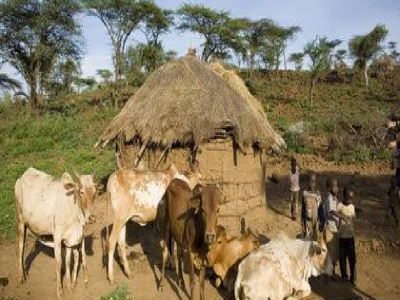 Help build old woman a decent house.