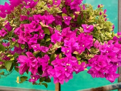 Expand my retail business.. plz help me all..