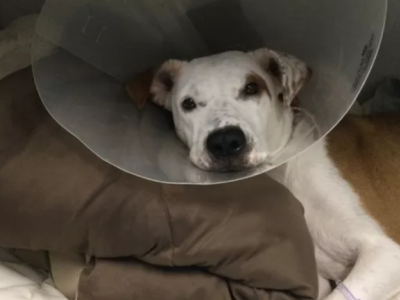 Grace medical bills