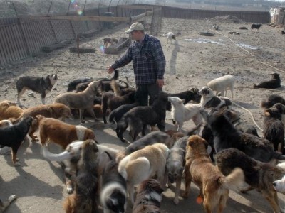 A house for our four-legged friends