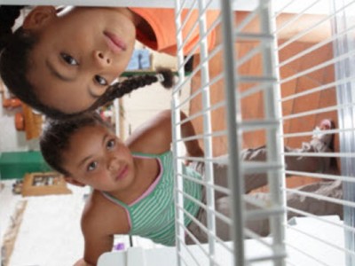 Feed the hungry kids off the street