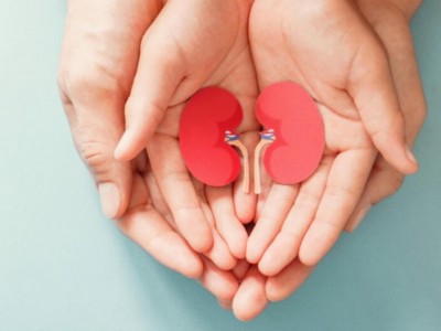 St.Anthonys Foundation