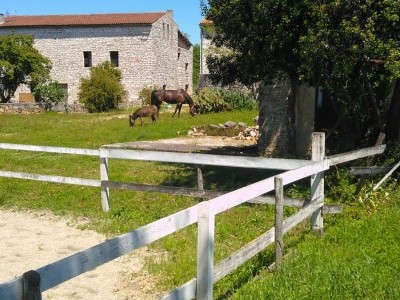 Need for a new home