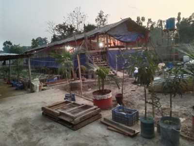 Agriculture business development