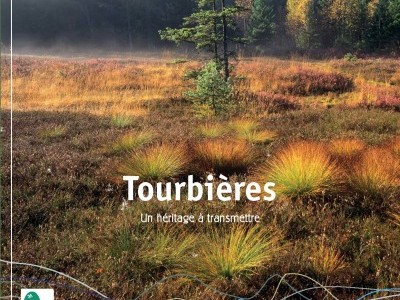 Action for DRC rainforest